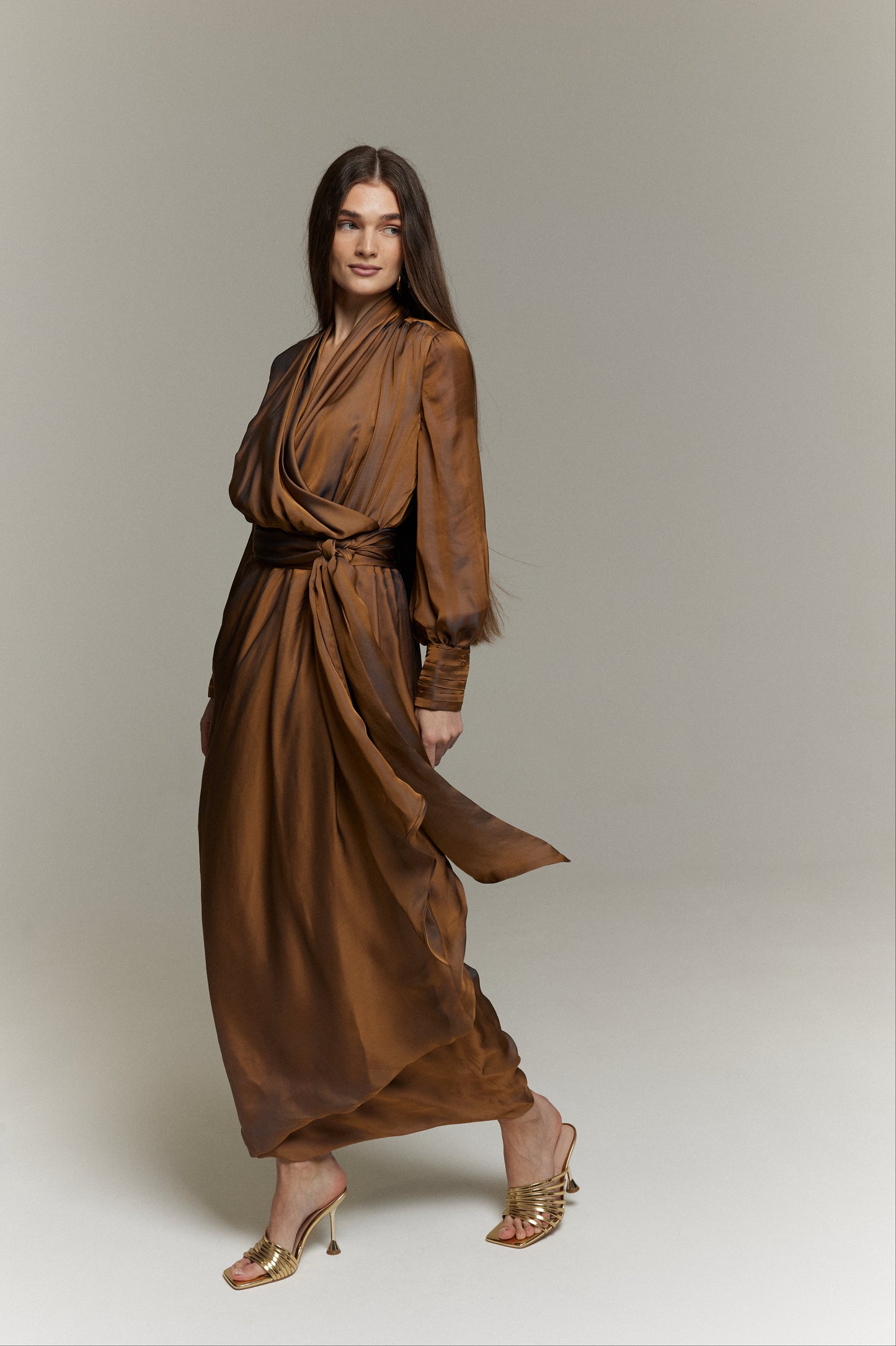 Layal Silk Organza Dress