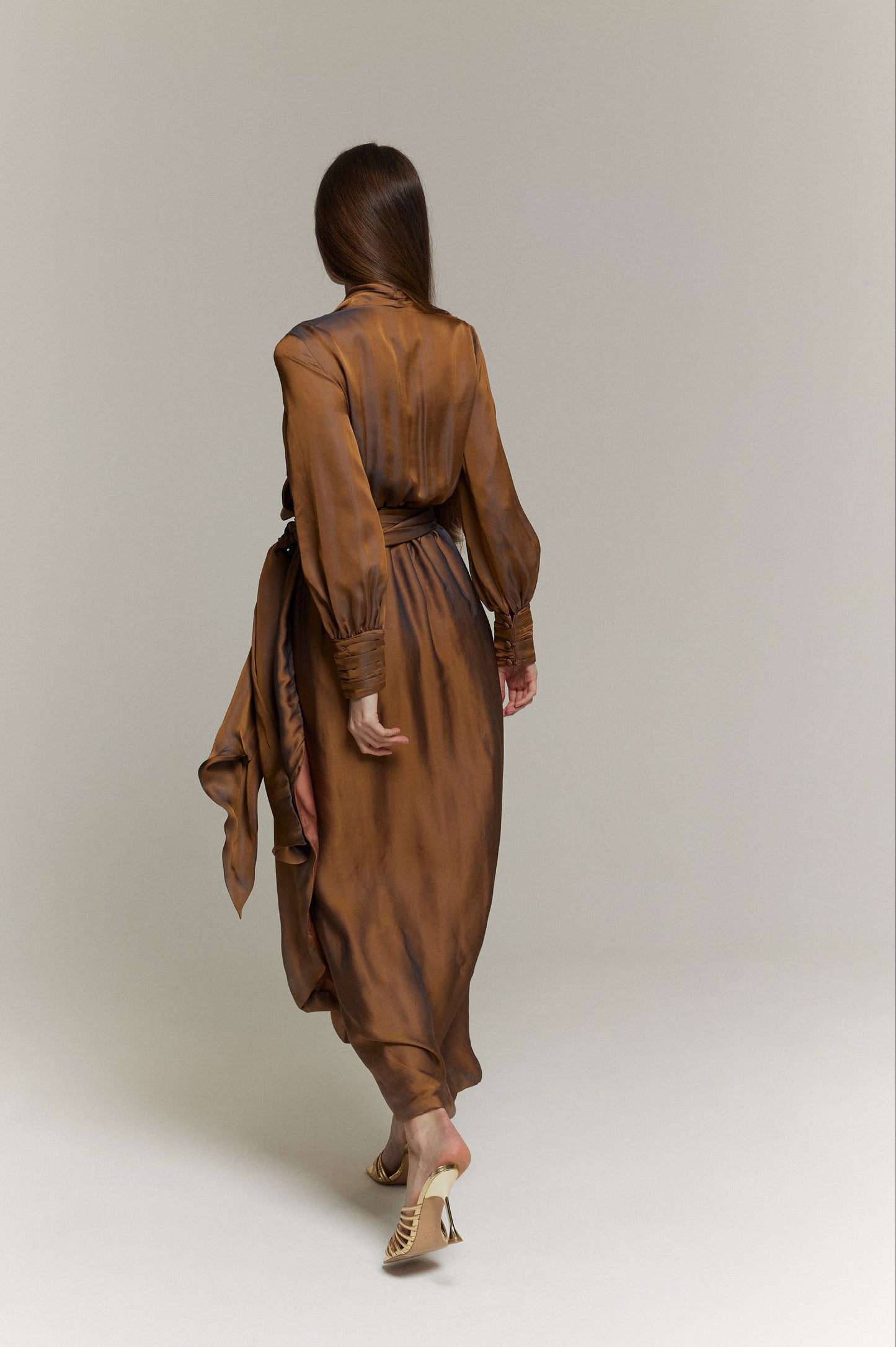 Layal Silk Organza Dress