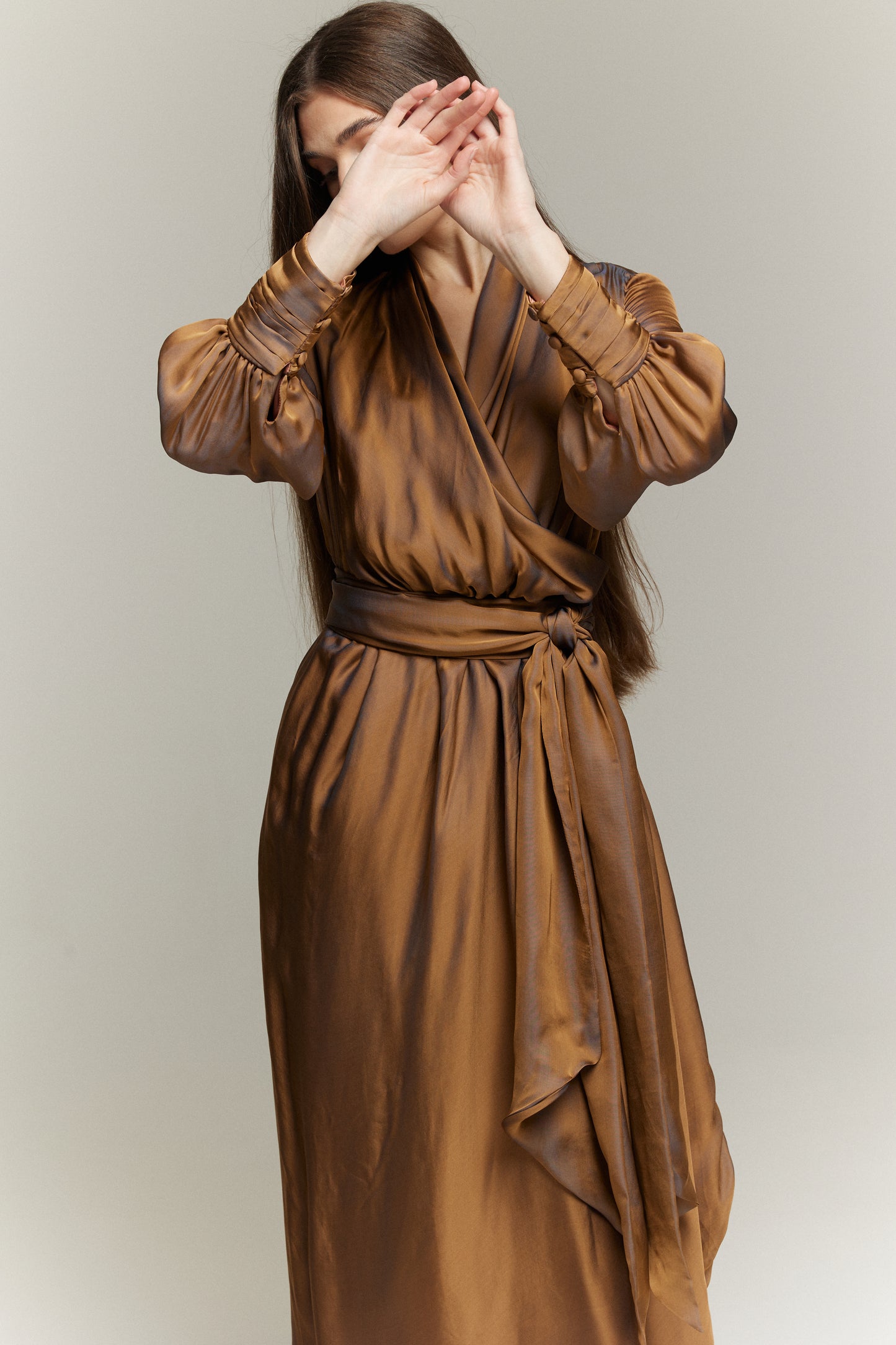 Layal Silk Organza Dress