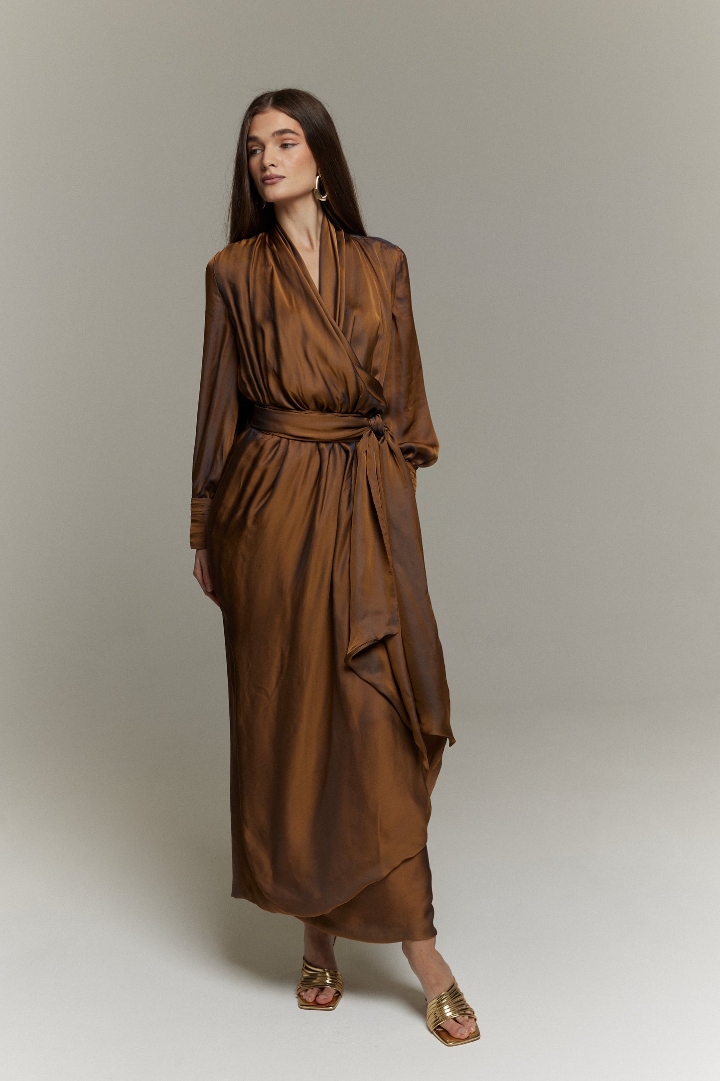 Layal Silk Organza Dress